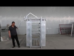 Hot dip galvanized head bail