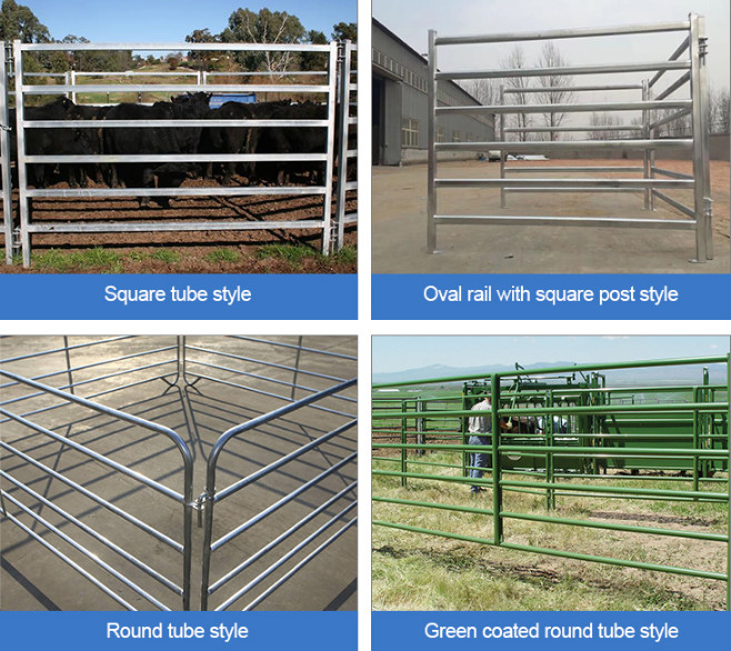 Rustproof Steel 6ftx7ft Heavy Duty Cattle Panel With Hot Dipped Galvanized