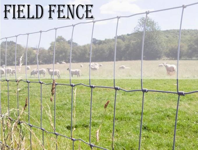 Steel 6.6ft High Fleet Farm Welded Wire Fence With Y Post For Cattle